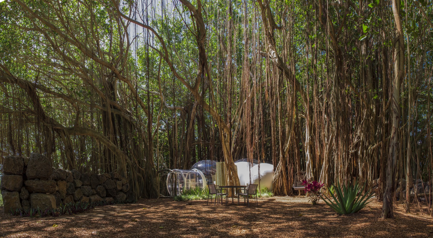 Bubble Lodge Ile aux Cerfs